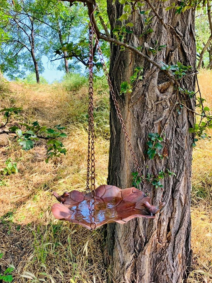 V parcích v Praze 3 vznikla pítka pro ptáky. Lidé si jej mohou vyrobit i doma