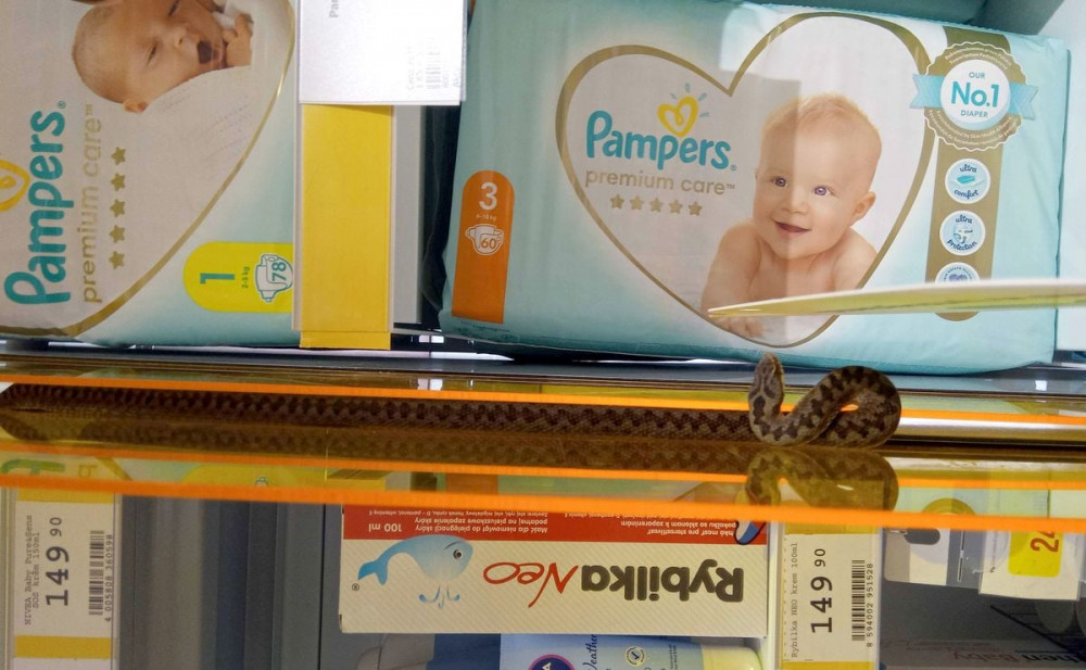 V regálech s dětským zbožím našli zmiji. S odchytem pomohli hasiči