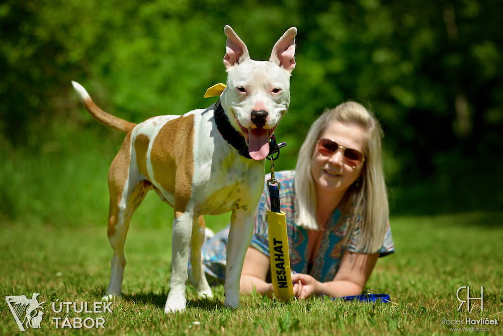 Radek Havlicek-VividFoto.cz