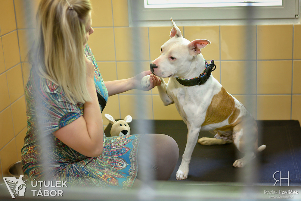 Radek Havlicek-VividFoto.cz