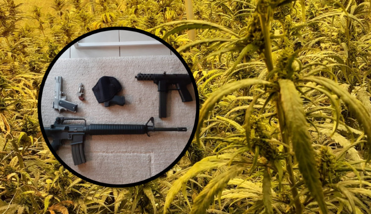 Kriminalisté rozbili gang dealerů kokainu a marihuany. Našli drogy, hotovost i zbraně