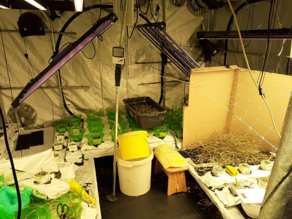 Kriminalisté rozbili gang dealerů kokainu a konopí. Našli drogy, hotovost i zbraně