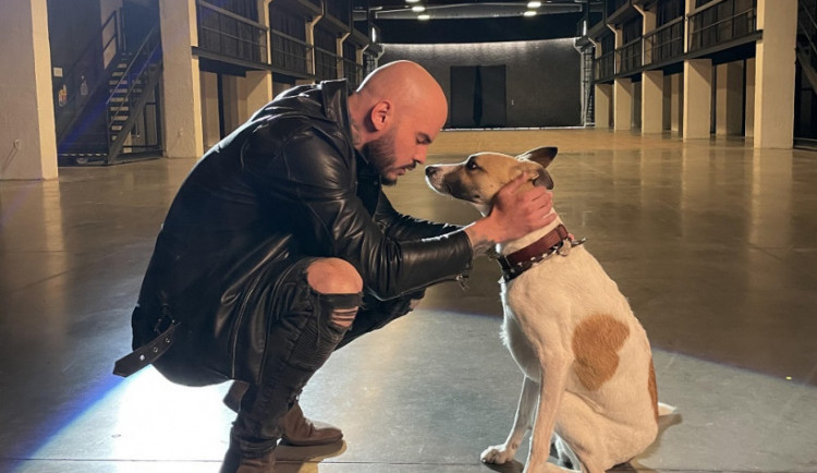 Film o psu Gumpovi, který míří příští týden do kin, představil nový videoklip.