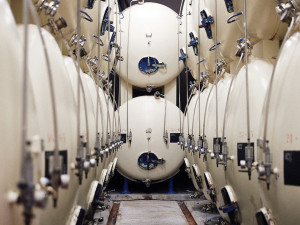 Budvar má za sebou rekordní rok. Uvařil nejvíce piva v historii