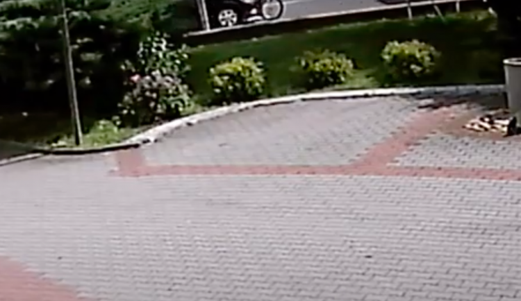 Auto na přechodu srazilo cyklistu. Řidič po chvíli odjel, hledá ho policie