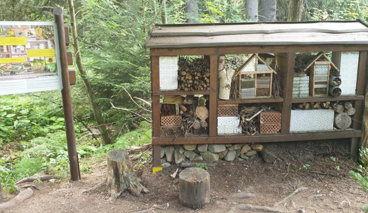 TIP NA VÝLET: Po stopách zrzavých šelem. Vydejte se na Liščí stezku