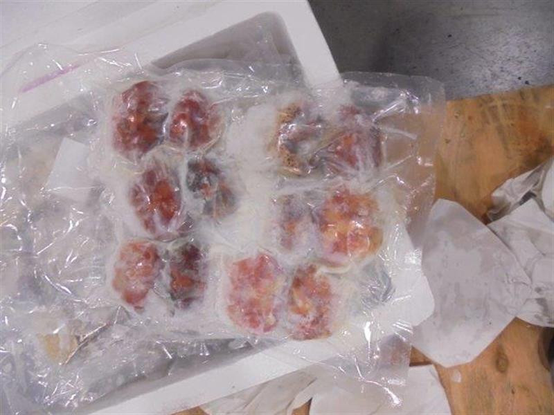 Pražští celníci zadrželi téměř 350 kilogramů produktů z Thajska. Místo ovoce objevili maso