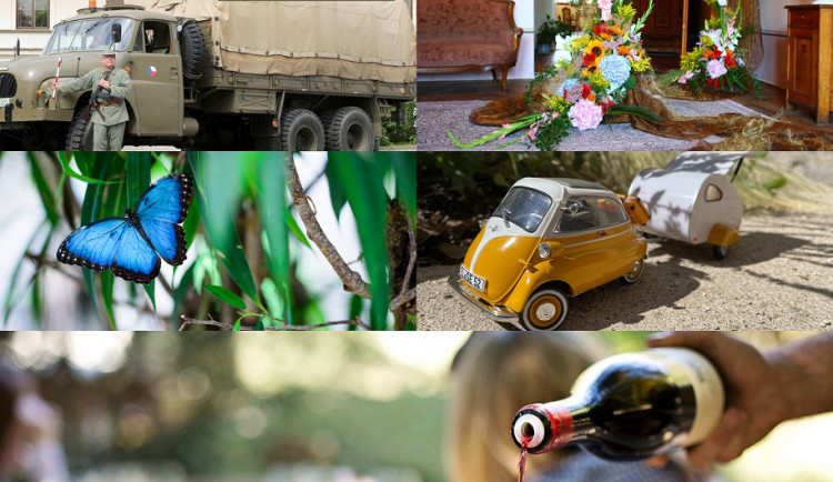 Kam o deštivém víkendu? Na hrad Veveří, do muzea autíček i za motýly