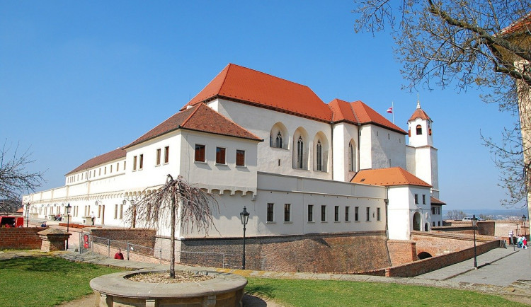 Brno oživí zeleň za 24 milionů korun