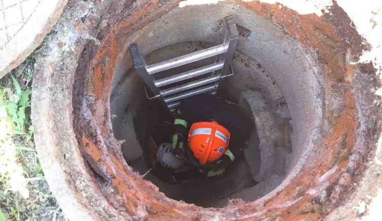 Do kanálu na Brněnsku spadl kozel, zoufalé zvíře zachránili hasiči