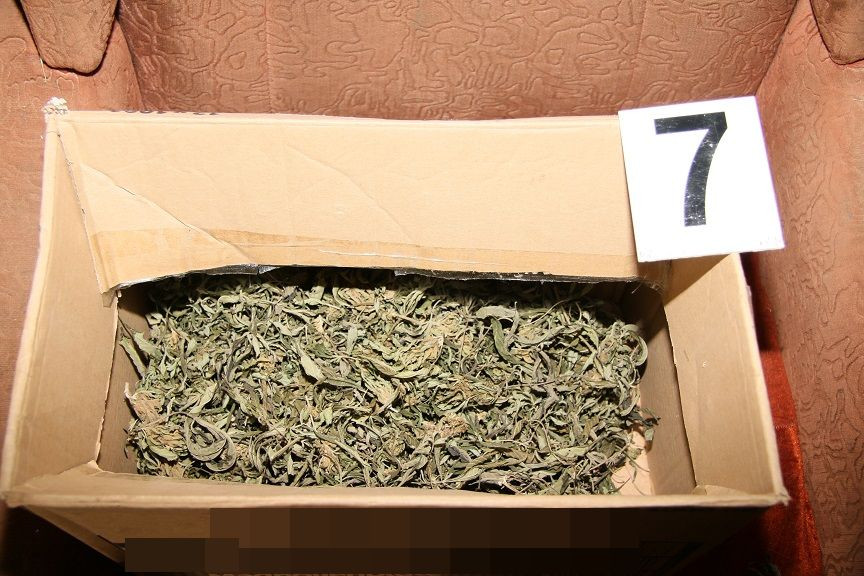 Přerovští kriminalisté zatkli dealera drog. Našli u něj pět kilomarihuany