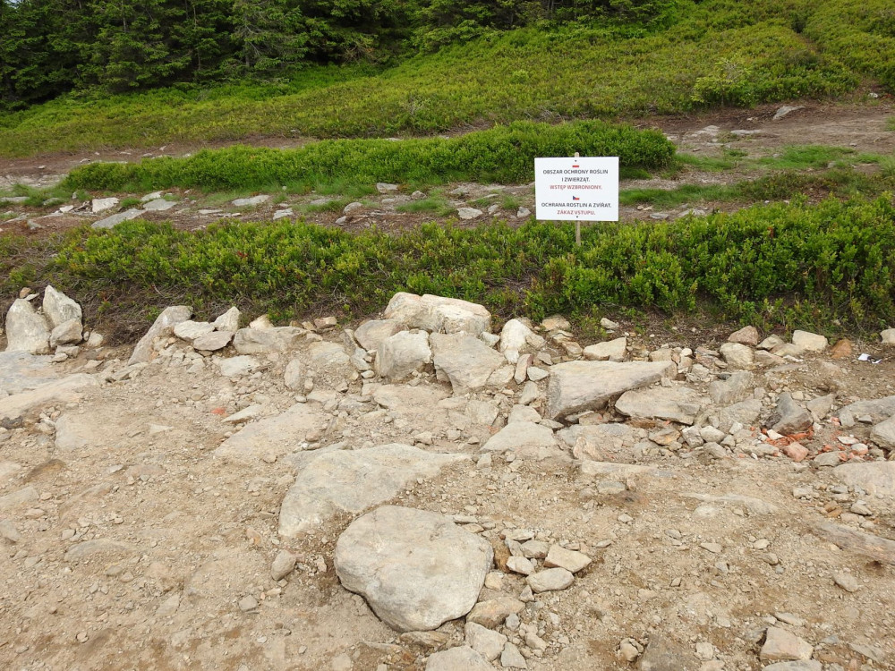 Ekologové požadují zastavit dotace pro rozhlednu na Králickém Sněžníku. Ničí přírodu