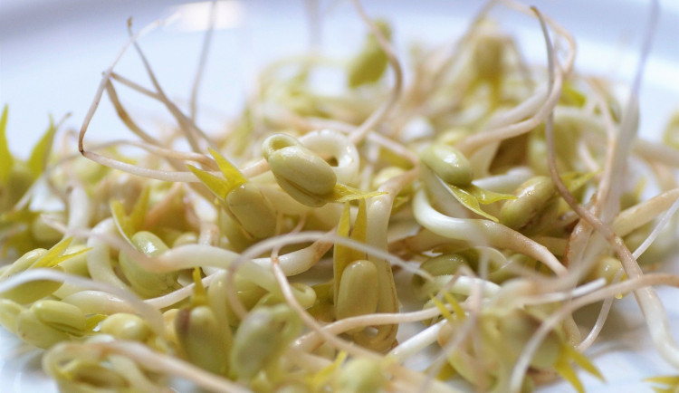 drbna.cz_Čerstvé klíčky jsou velmi chutné, ale především zdravé. Jsou ale z obchodu skutečně čerstvé_01