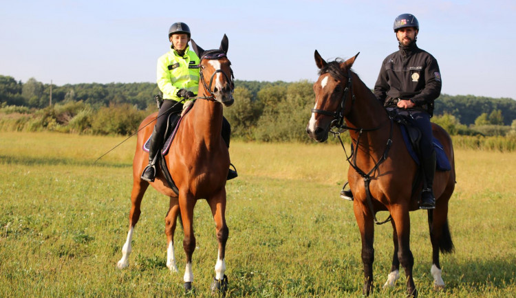 Jihomoravští policisté pomáhali při papežově návštěvě Slovenska