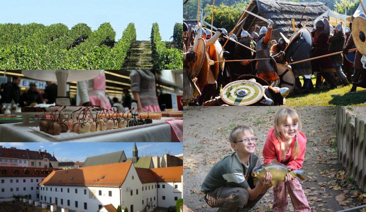 Kam o víkendu na jižní Moravě? Na burčákový pochod, kaprobraní i festival čokolády