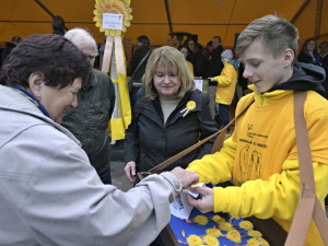 Žluté kytičky po pětadvacáté. Sbírka na boj s rakovinou letos potrvá déle