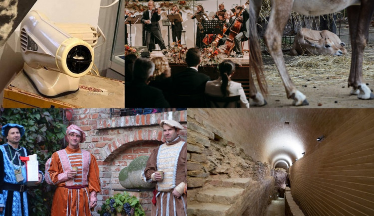 Kam o víkendu na jižní Moravě? Na Den zvířat do zoo i na prohlídku bastionu