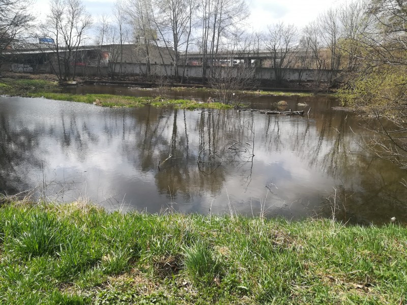 Prostějov chce revitalizovat Pivovarský rybníček. Teď se tam scházejí bezdomovci