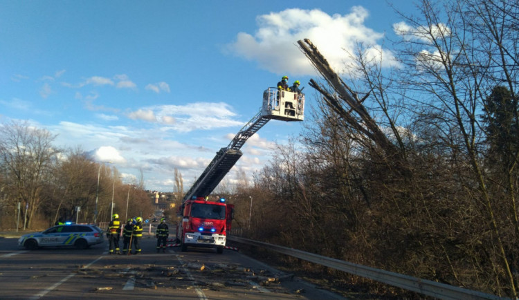 Do Prahy míří silný vítr. Může poškodit stromy nebo budovy