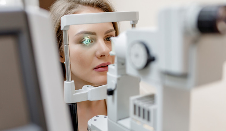 EZ-Stock Studio / Shutterstock.com