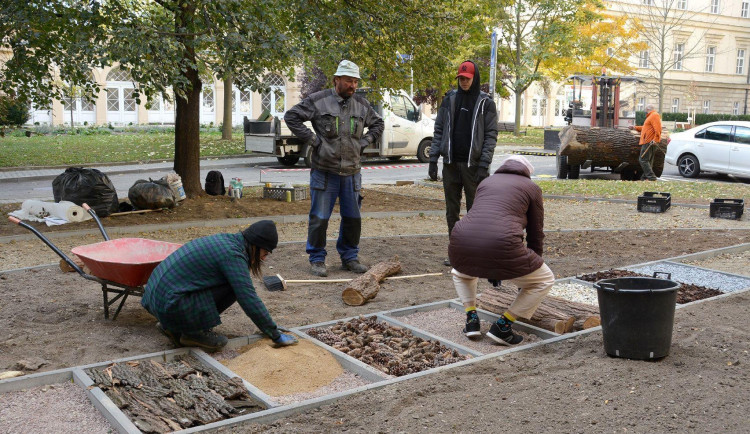 Štěrk, šišky, písek. Brňané se v nemocnici projdou po speciálním chodníku