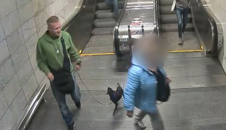 Zloději ukradli spícímu muži v metru psa. Ten byl za několik dní nalezen v zuboženém stavu