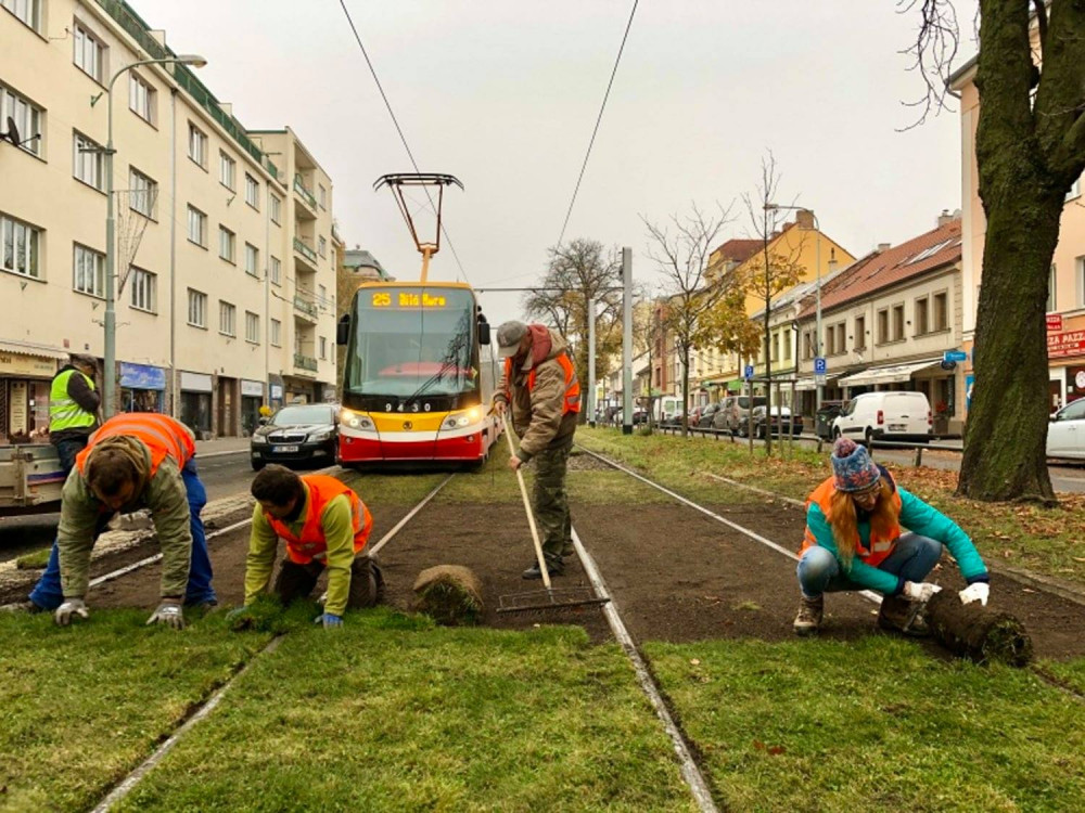 Praha je součástí vědeckého experimentu. Dopravní podnik testuje speciální travní koberce