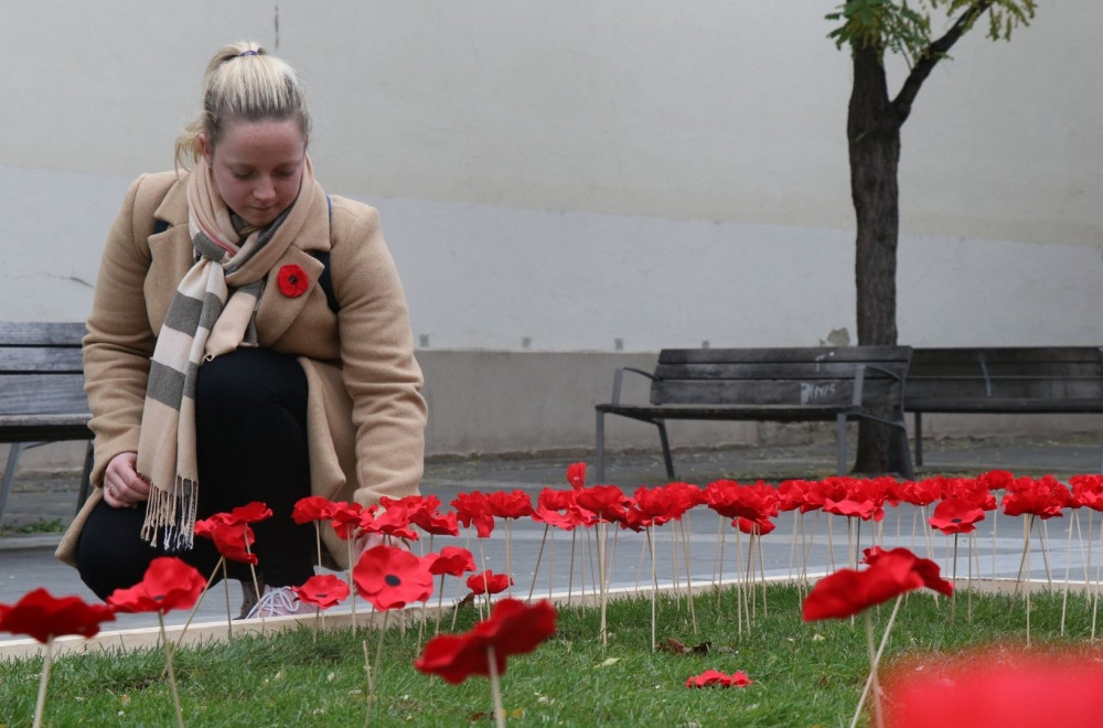 Brno vzpomíná na válečné veterány. V centru vzniklo pole vlčích máků