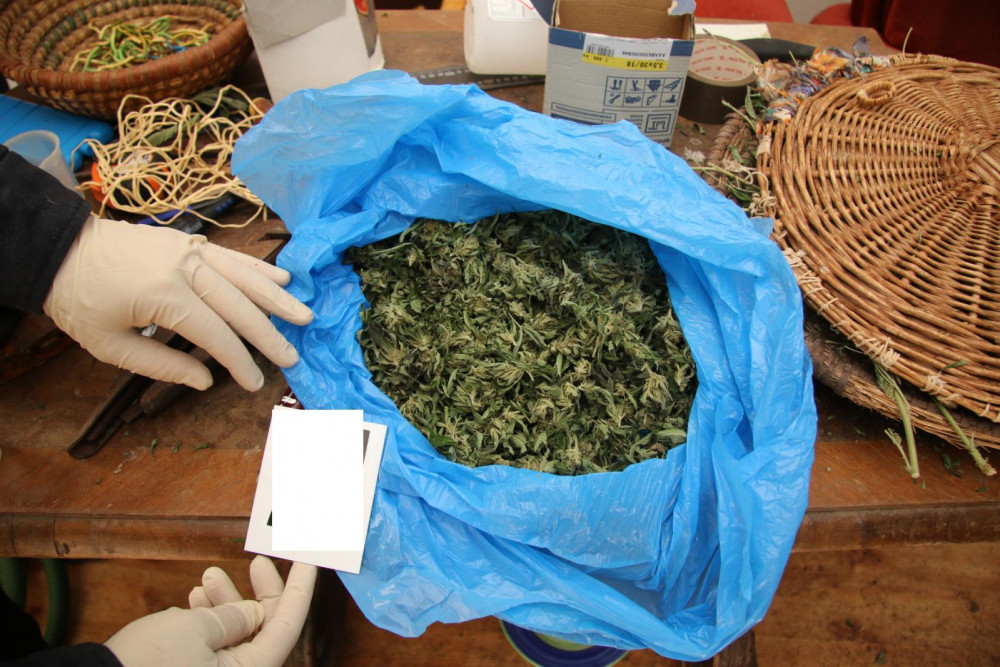 Prachatičtí kriminalisté odhalili pěstírnu.