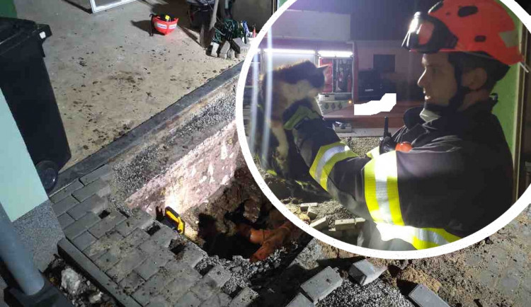 Hasiči na Brněnsku zachránili kočku, která spadla do dešťového svodu