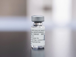 Česko čeká na schválení vakcíny od Novavaxu, objednáno má 370 tisíc dávek
