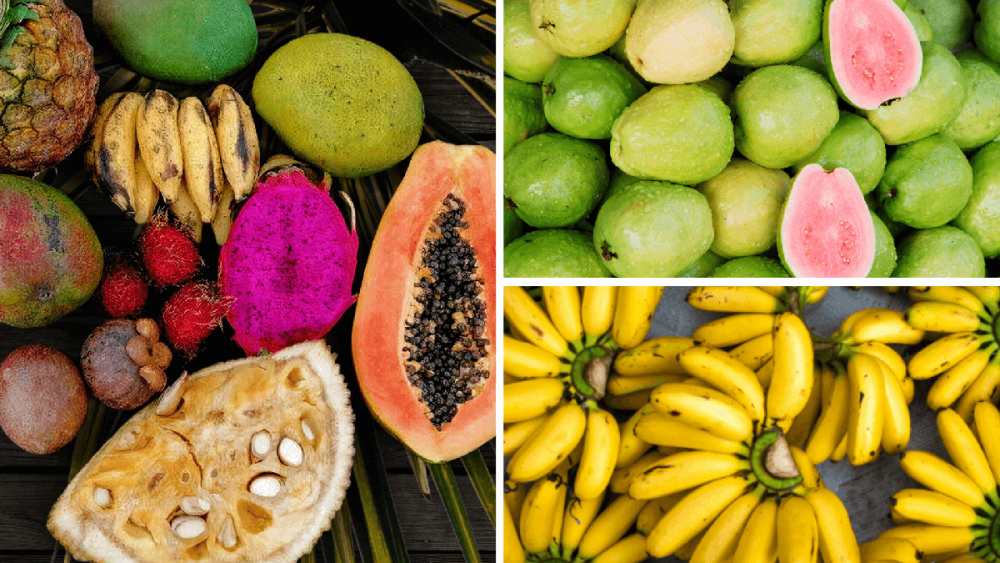 Exotické chutě z dalekých krajin míří do Prahy a Středních čech