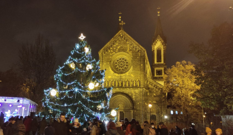Čtenáři rozhodli. Za nejkrásnější pražský vánoční strom letos označili smrk v Karlíně