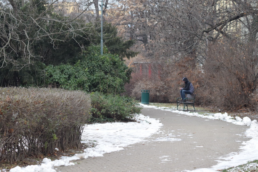 V Brně chtějí vdechnout nový život parku Koliště