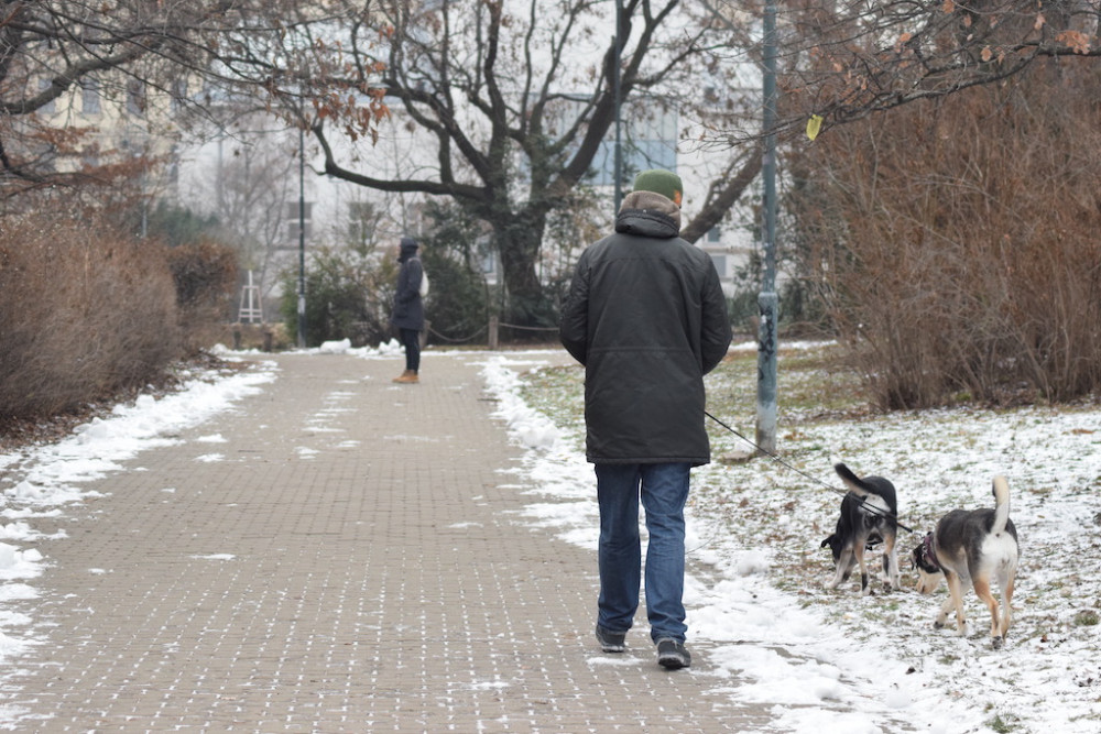 V Brně chtějí vdechnout nový život parku Koliště