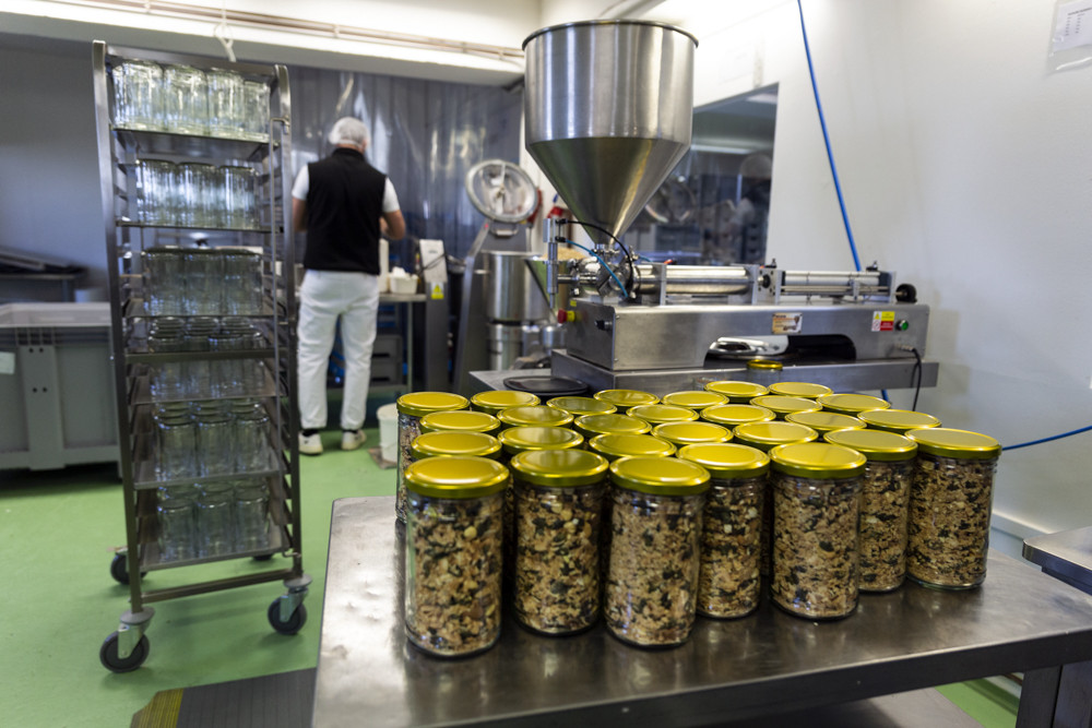 Výroba potravinářských produktů z ořechů v Olomouci