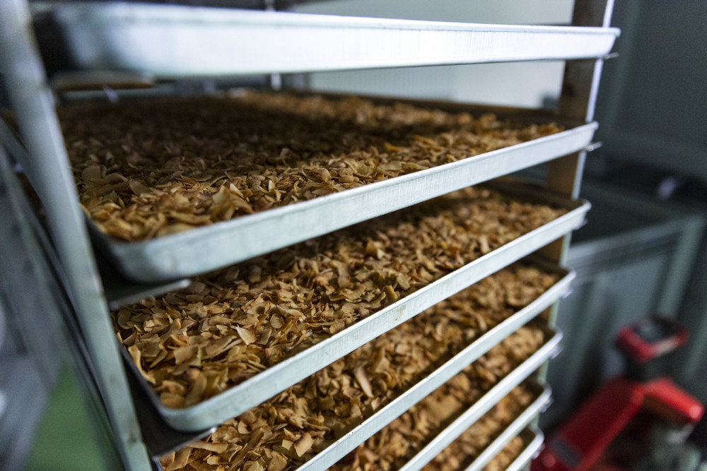 Výroba potravinářských produktů z ořechů v Olomouci