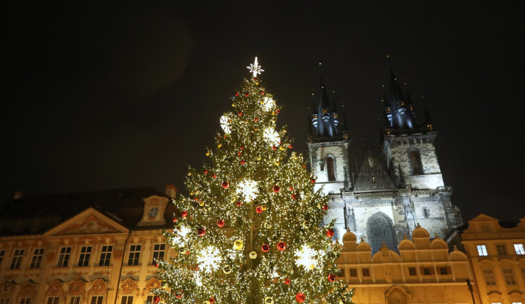 Strom na Staromáku půjde k zemi. Větve dostanou zvířata v zoo, kmen zpracují studenti