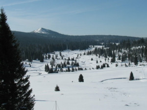 Šumava zažila třeskuté mrazy, na Březníku naměřili ráno minus 27,6 stupně