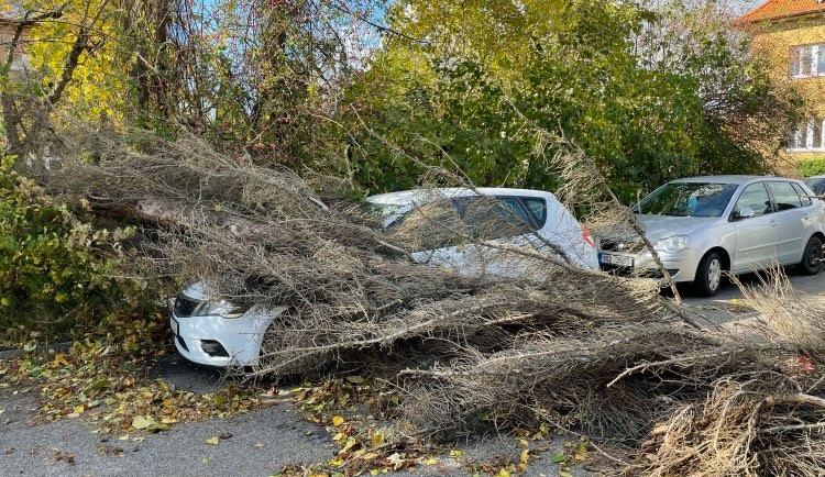 Meteorologové varují před silným větrem. Může lámat stromy a komplikovat dopravu