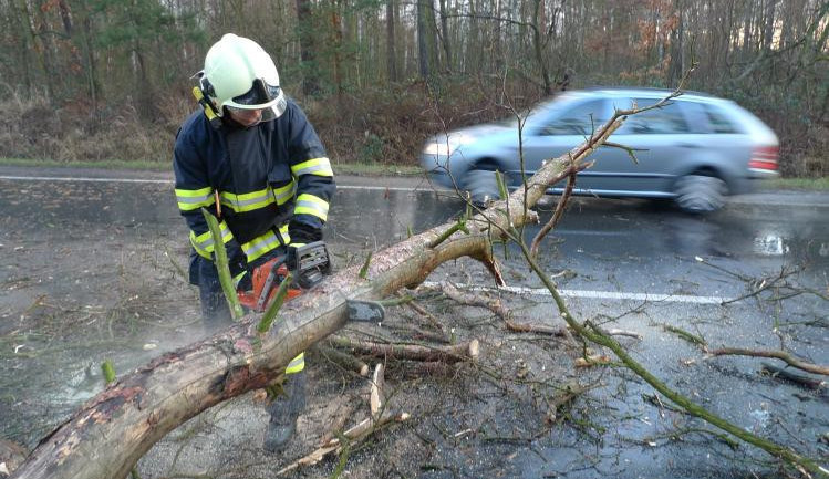 Meteorologové varují před silným větrem. Výstraha platí do dnešního večera