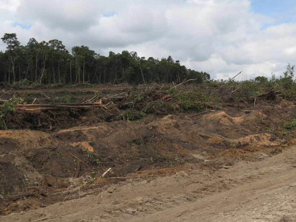 Olomoučtí vědci objevily stovky nových druhů hmyzu. Využily analýzu DNA