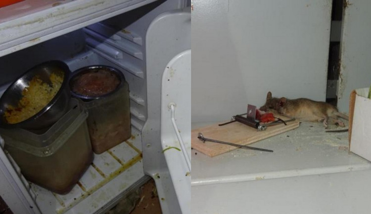 Potravinářská inspekce uzavřela v lednu kvůli hygieně rekordní počet provozů