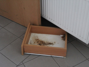 Drogy, hluk a nepořádek. V brněnském domě dělají zle obyvatelé sociálních bytů