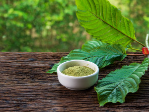 Jak vybrat nejlepší kratom? Pomůžeme vám