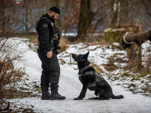 Dobrý služební pes vydá i za tři strážníky, říká psovod Pavel Šmudla
