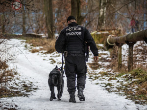 Dobrý služební pes vydá i za tři strážníky, říká psovod Pavel Šmudla