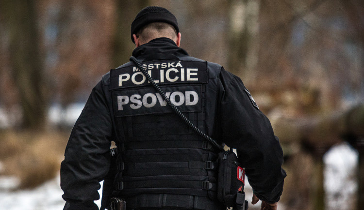 Dobrý služební pes vydá i za tři strážníky, říká psovod Pavel Šmudla.