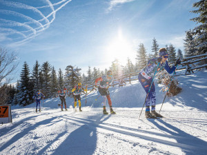 Veverkova 741/25 Praha 7