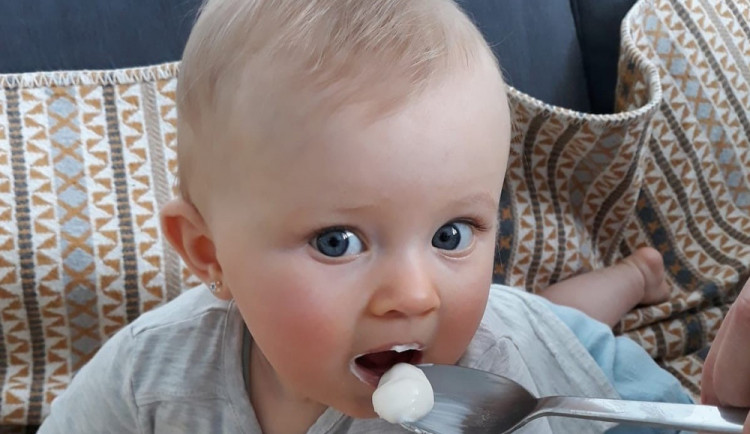 Lipánek je jako jediný bez škrobu, dusíku, želatiny a xanthanu.